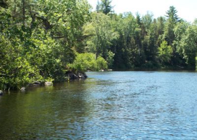 Paint River in summer