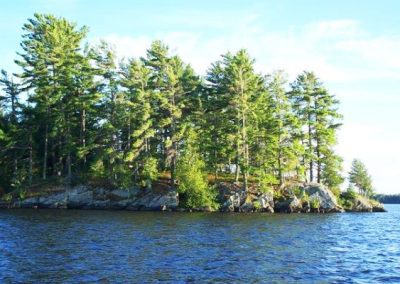 Perch Lake island