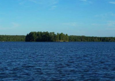 Perch Lake island